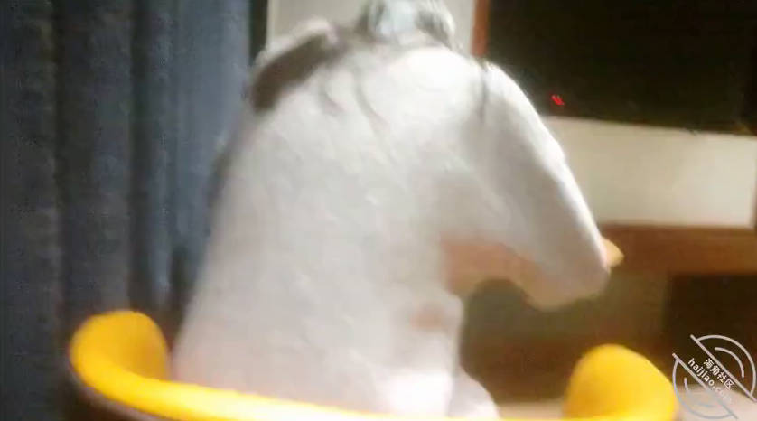 海角社区 酒精上头的空姐表妹被我干了，各种刺激玩法让我对空姐有了新的认识