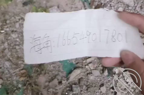 海角社区 为妹妹配备遥控跳弹加上豹纹内裤！商场！公厕！车震！内射~全套了！